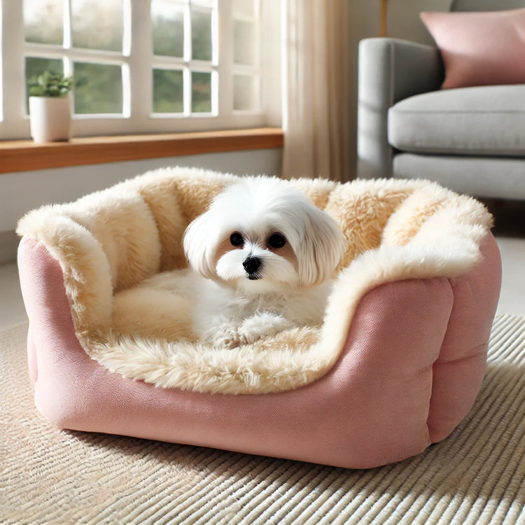 FOR DOG